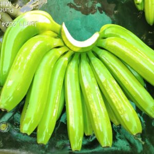 banana biggest exporter